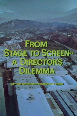 From Stage to Screen---A Director's Dilemma From Stage to Screen---A Director's Dilemma