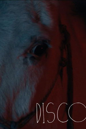 Disco Disco
