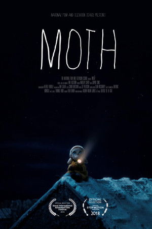 Moth Moth