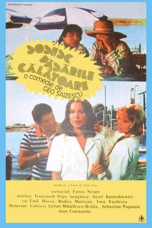 The Migrant Birds Are Coming The Migrant Birds Are Coming