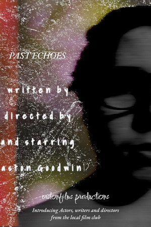 PAST ECHOES PAST ECHOES