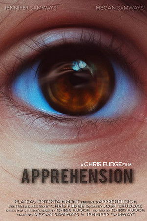 Apprehension Apprehension