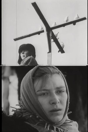 The Petrukha Family The Petrukha Family