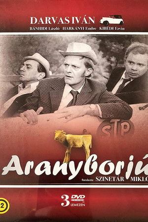 Aranyborjú Aranyborjú