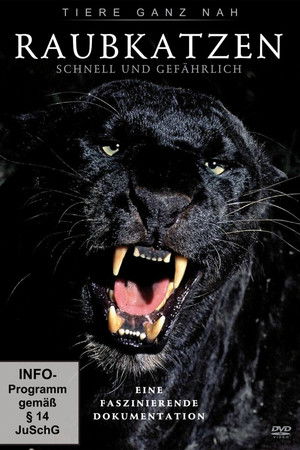 Big Cats: Fast and Dangerous Big Cats: Fast and Dangerous