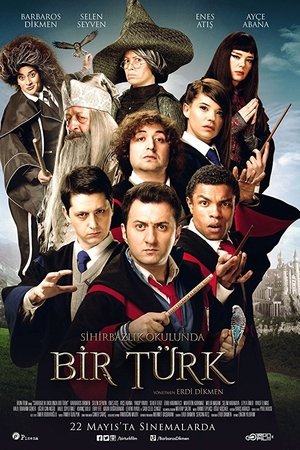 Sihirbazlık Okulunda Bir Türk Sihirbazlık Okulunda Bir Türk