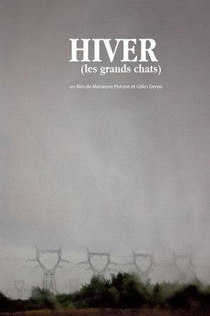 Winter (The Large Cats) Winter (The Large Cats)