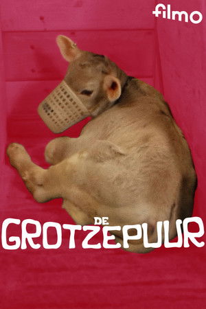De grotzepuur De grotzepuur