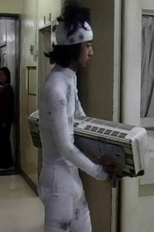 Dog Days Dream Dog Days Dream