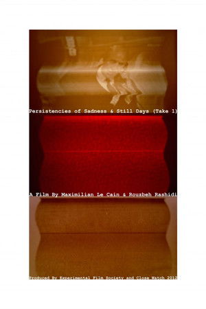 Persistencies of Sadness & Still Days (Take 1) Persistencies of Sadness & Still Days (Take 1)