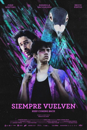 Keep Coming Back Keep Coming Back