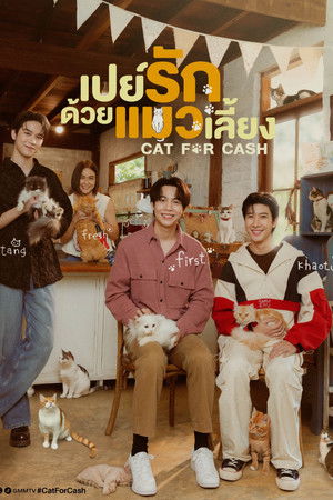 Cat for Cash Cat for Cash