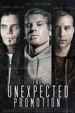 The Unexpected Promotion The Unexpected Promotion