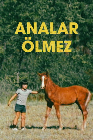Analar Ölmez Analar Ölmez