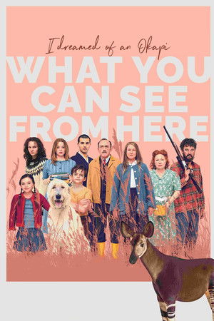 What You Can See from Here What You Can See from Here