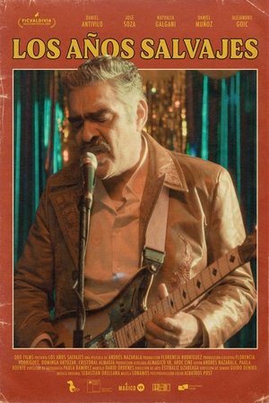 The Wild Years The Wild Years