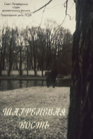 Shagreen Bone Shagreen Bone