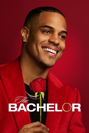 The Bachelor The Bachelor
