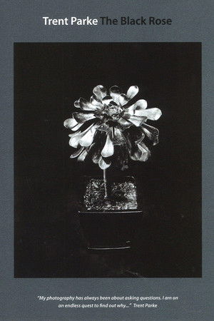 Trent Parke: The Black Rose Trent Parke: The Black Rose