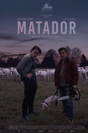 Matador