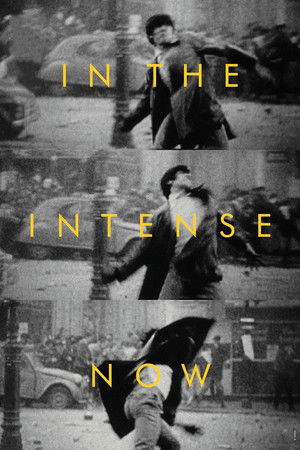 In the Intense Now In the Intense Now