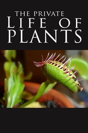 The Private Life of Plants