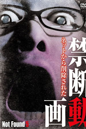 Not Found 5 Not Found 5