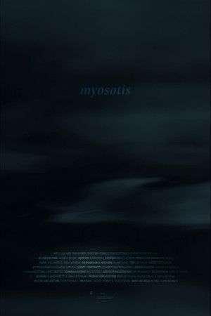 Myosotis Myosotis