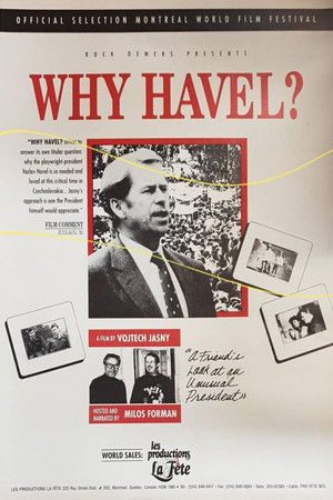 Why Havel? Why Havel?