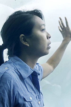 Remittance Remittance