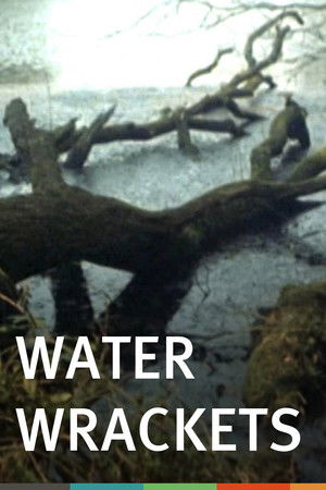 Water Wrackets Water Wrackets