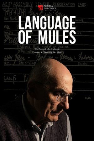 Language Of Mules Language Of Mules
