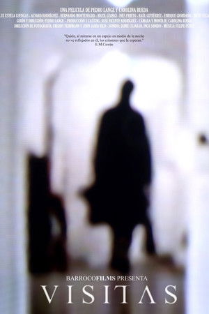 Visitas