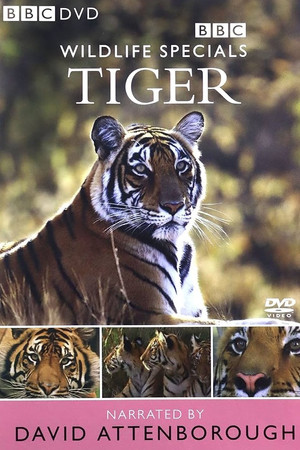 Tiger: The Elusive Princess Tiger: The Elusive Princess