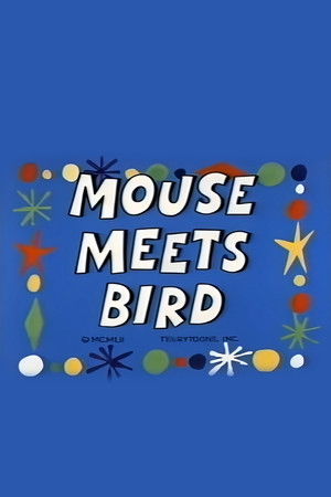 Mouse Meets Bird Mouse Meets Bird