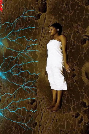 Black Forest 3 Black Forest 3