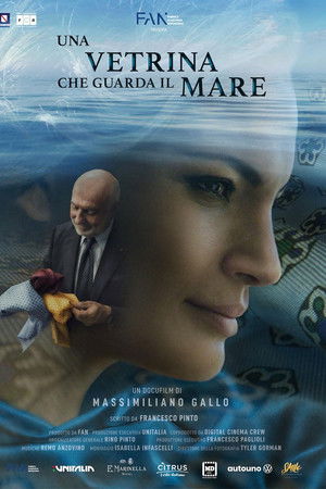 Una vetrina che guarda il mare