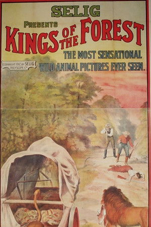 Kings of the Forest Kings of the Forest