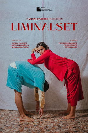 Liminalset