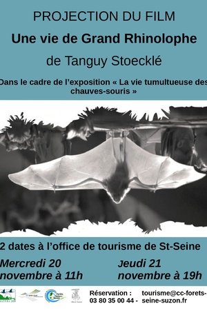 The Life of a Greater Horseshoe Bat The Life of a Greater Horseshoe Bat