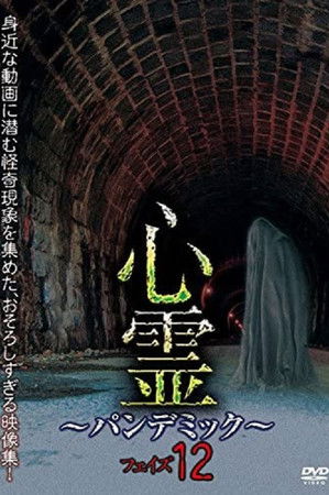 Spirit Pandemic Phase 12 Spirit Pandemic Phase 12