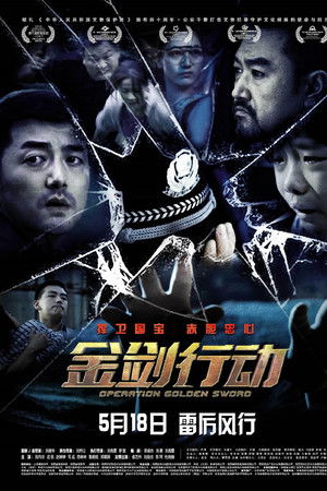 金剑行动