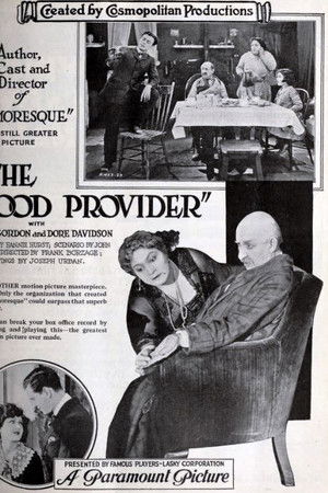 The Good Provider The Good Provider