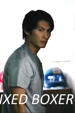 Fixed Boxer Fixed Boxer