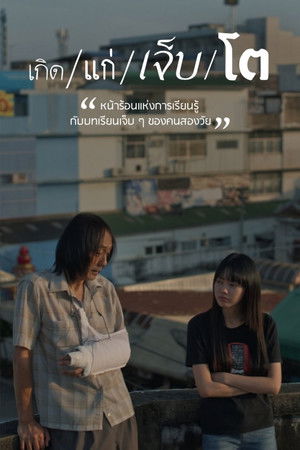 The Summer We Met The Summer We Met