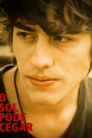 The Sun Can Blind The Sun Can Blind