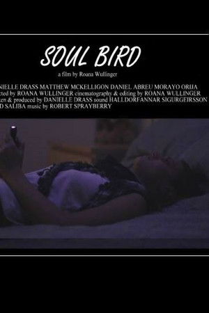 Soul Bird Soul Bird