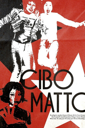 Cibo Matto: The 930 Club 1997