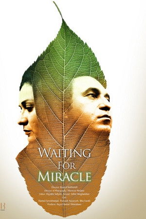 Waiting For Miracle