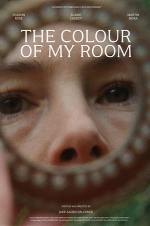 The Colour of My Room